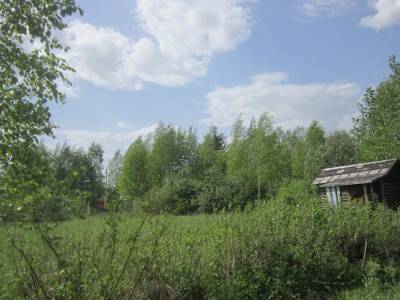 Участок Городской округ Орехово-Зуево, Талдомский район,СНТ Земляне