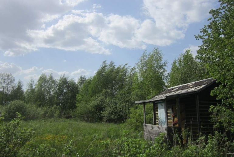 Земля на Дмитровское шоссе, Талдомский район,СНТ Земляне