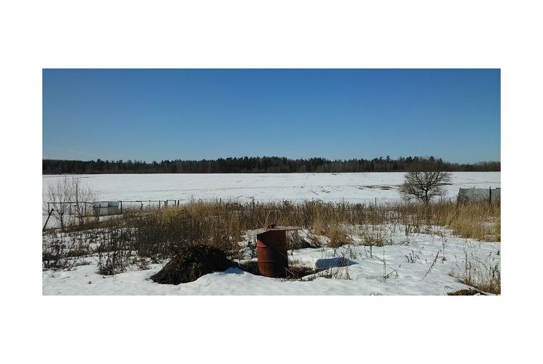 Земля в районе Пушкинский, Царево