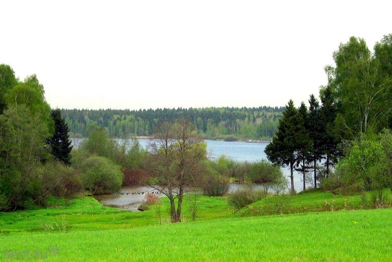 Земля в Подмосковье, Икша