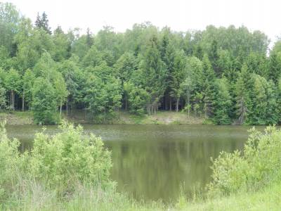 Дача в Электрогорске, Городня