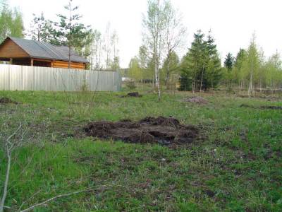 Участок Городской округ Электрогорск, Ольховик