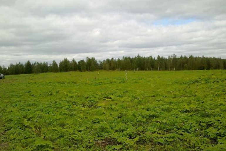 Земля в районе Дмитровский, д.Слободищево