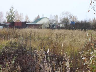 Участок Городской округ Электрогорск, Садовод