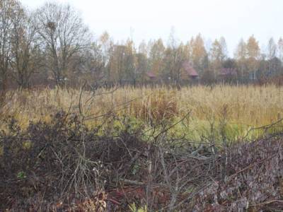 Участок Городской округ Орехово-Зуево, Садовод