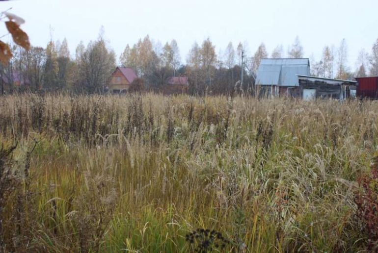 Земля в районе Талдомский, Садовод