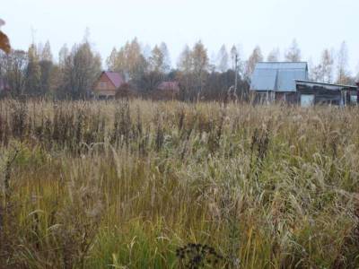 Участок Городской округ Орехово-Зуево, Садовод