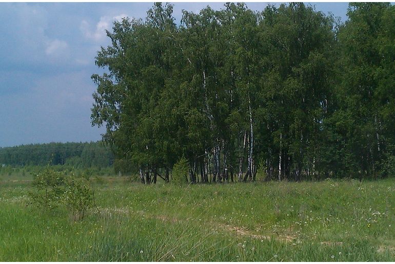 Земля в Подмосковье, Чирково