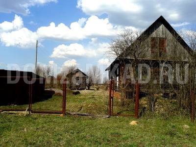 Дача в Реутове, Пантелеево