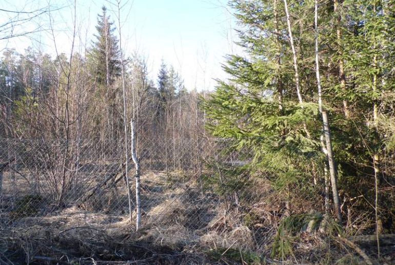 Земля в районе Дмитровский, Саввино