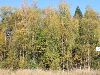 Участок Городской округ Электрогорск, Есипово