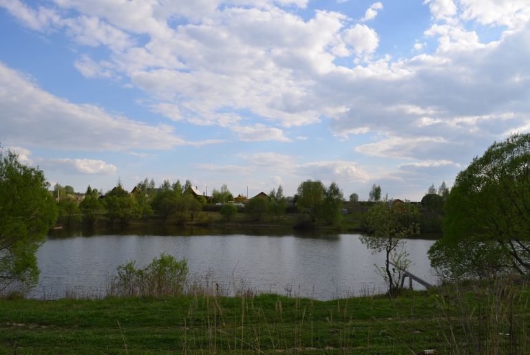 Земля в районе Ступинский, Марьинское