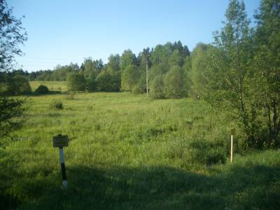 Участок Городской округ Орехово-Зуево, Сурмино