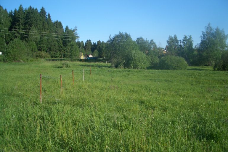 Земля в районе Дмитровский, Сурмино