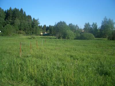 Участок Городской округ Орехово-Зуево, Сурмино