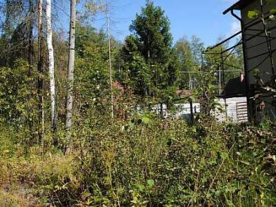 Участок Городской округ Орехово-Зуево, Бекасово