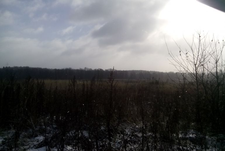 Земля в районе Дмитровский, Деденево