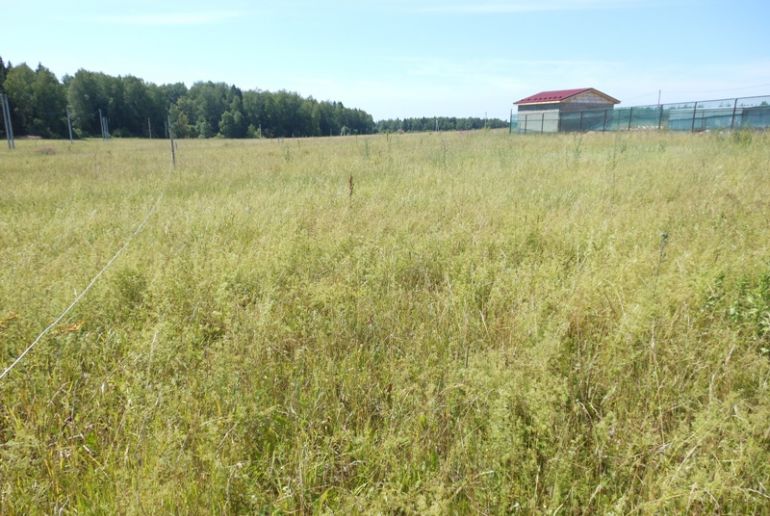 Земля в районе Дмитровский, Никулино