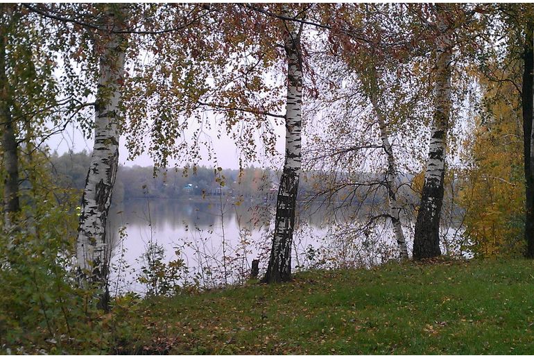 Земля в Подмосковье, Малышево