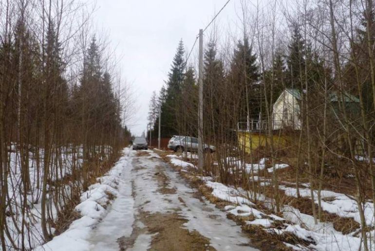 Земля в районе Талдомский, Дубки