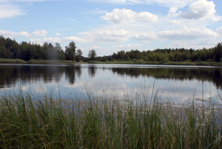 Земля в районе Пушкинский, Кстининское озеро