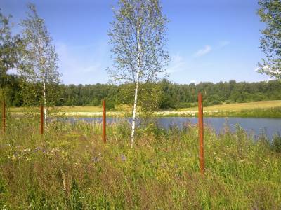 Участок Городской округ Электрогорск, Старогромово