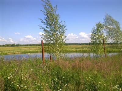 Участок Городской округ Орехово-Зуево, Старогромово