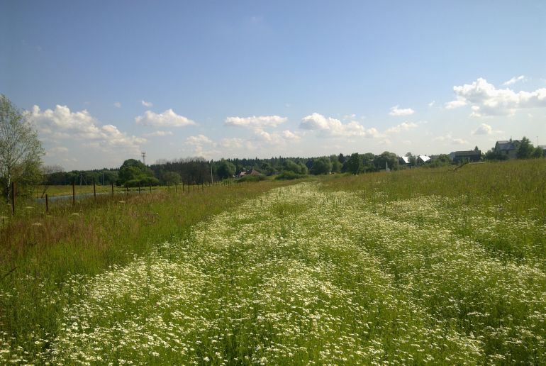 Земля в Подмосковье, Старогромово