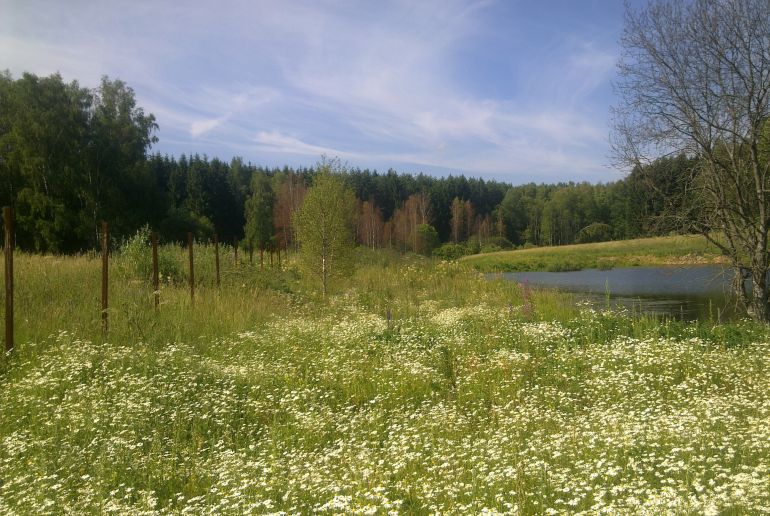 Земля в Подмосковье, Старогромово