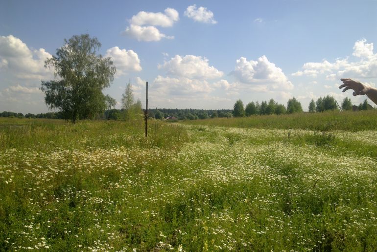 Земля в Подмосковье, Старогромово