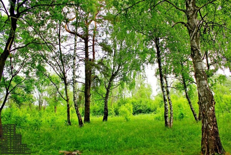 Земля в Подмосковье, Турово