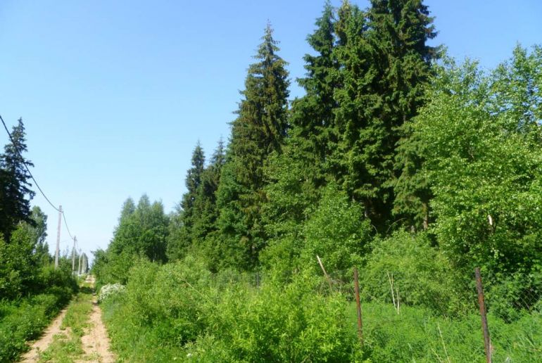 Земля в районе Талдомский, Агат