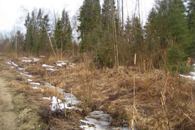 Земля в районе Талдомский, Агат