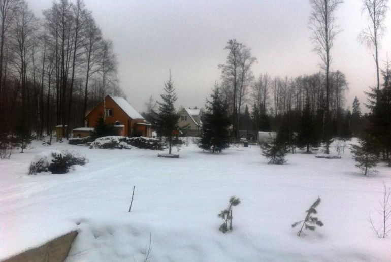 Земля в районе Талдомский, Верба