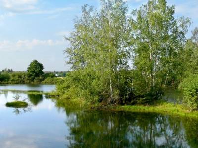 Участок Городской округ Электрогорск, Зосимова Пустынь