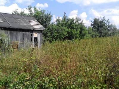 Земельные участок в Подмосковье для пмж, Юркино