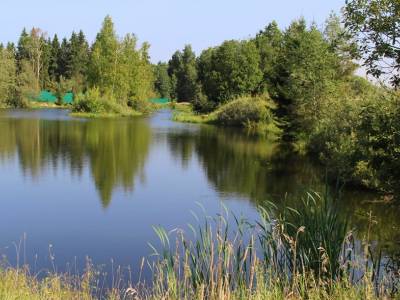 Участок Городской округ Электрогорск, Зосимова Пустынь