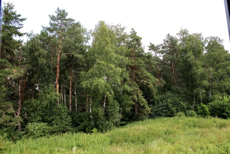 Земля в Подмосковье, кпБерегУдач