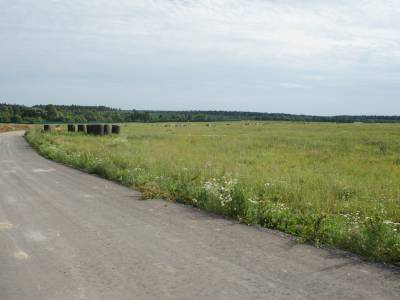 Участок Городской округ Электрогорск, долгино