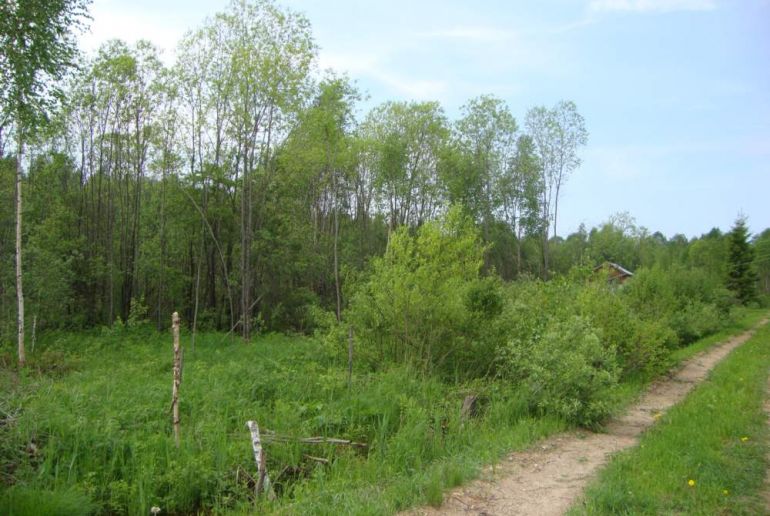 Земля в районе Талдомский, Березки