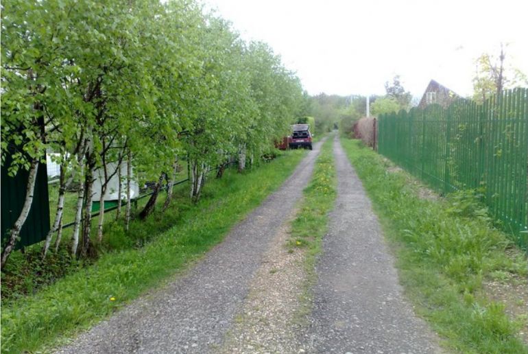 Земля в районе Талдомский, Березки