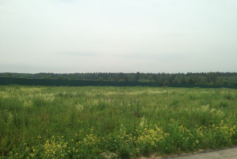 Земля в районе Наро-Фоминский, Руднево