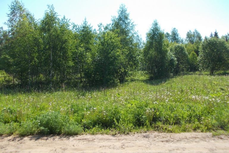 Земля в Подмосковье, Соколово-парк