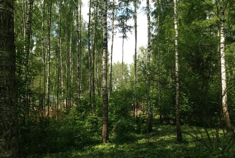 Земля в районе Наро-Фоминский, Руднево