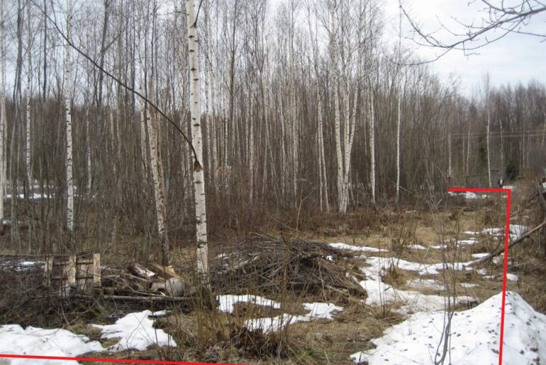 Земля в районе Талдомский, Звездочка