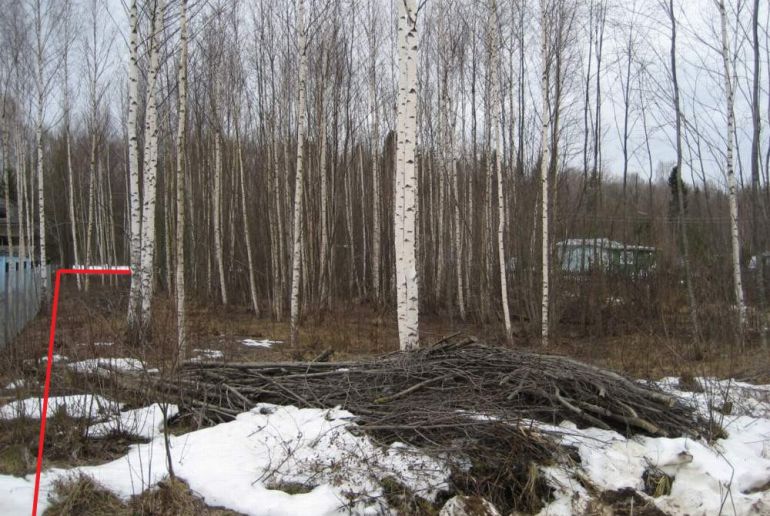 Земля в районе Талдомский, Звездочка