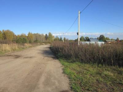 Участок Городской округ Орехово-Зуево, Гусенки