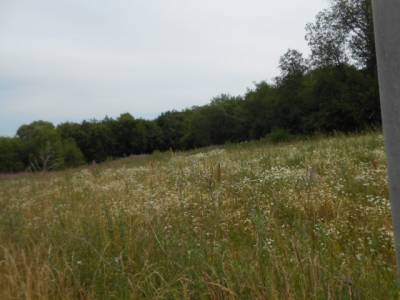 Участок Городской округ Орехово-Зуево, Пупцево