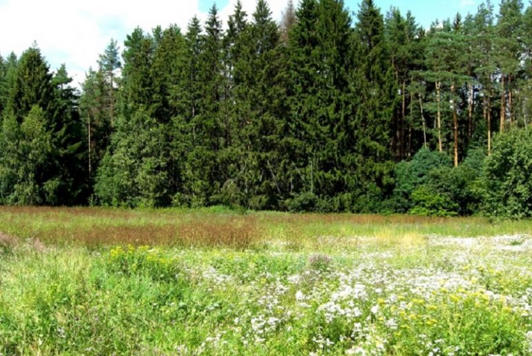 Земля в районе Дмитровский, Свистуха