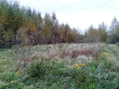 Участок Городской округ Орехово-Зуево, Микляево